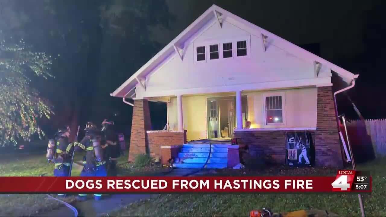 Two dogs rescued after fire at Hastings home - YouTube