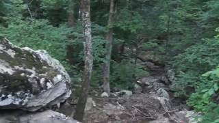 Trim D7C776B5 Fd82 4D4A A7Cd 742Ac67Aef04