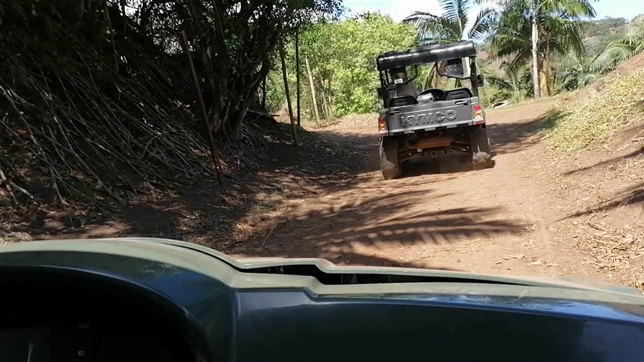 Discover Mauritius : Buggy at Heritage Nature Reserve - YouTube
