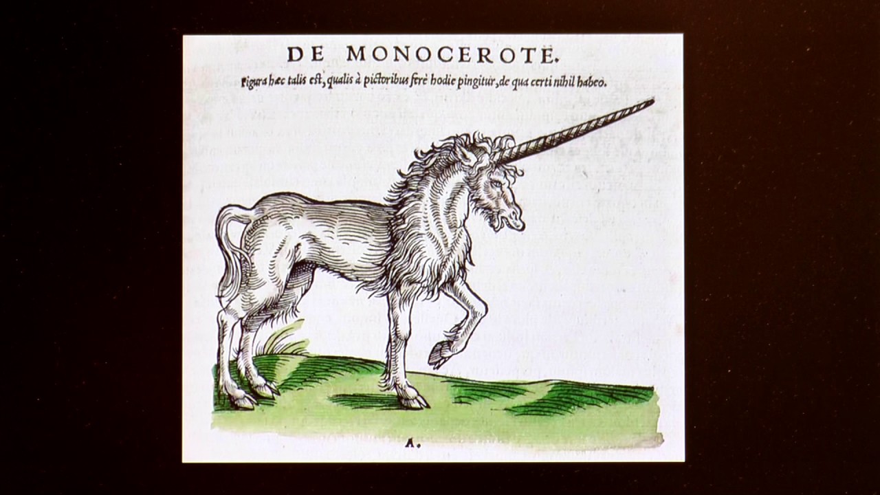 Einhorn - YouTube