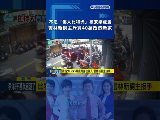 不忍「傷人比特犬」被安樂處置　雲林新飼主斥資40萬改造新家｜民視新聞｜