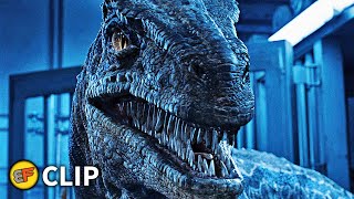 Blue Cage Escape Scene Jurassic World Fallen Kingdom 2018 Movie Clip Hd 4K
