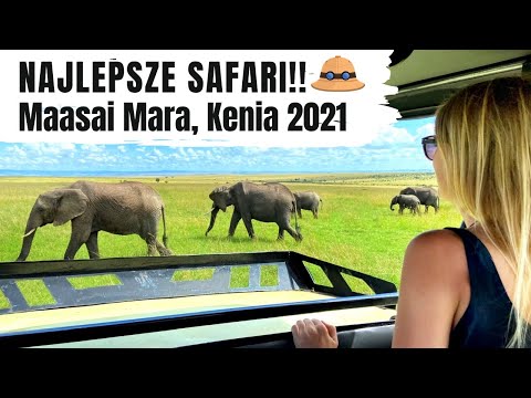 Wideo: Najlepszy czas na wizytę w Kenii