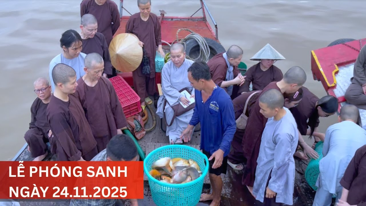 LỄ PHÓNG SANH NGÀY 24.11.2025 NHẰM NGÀY 5.10 NĂM ẤT TỴ| Phật Sự CHÙA HƯNG THIỀN
