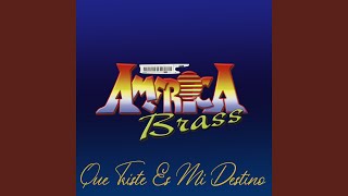 Video thumbnail of "America Brass - Mi Vida Vuelve"