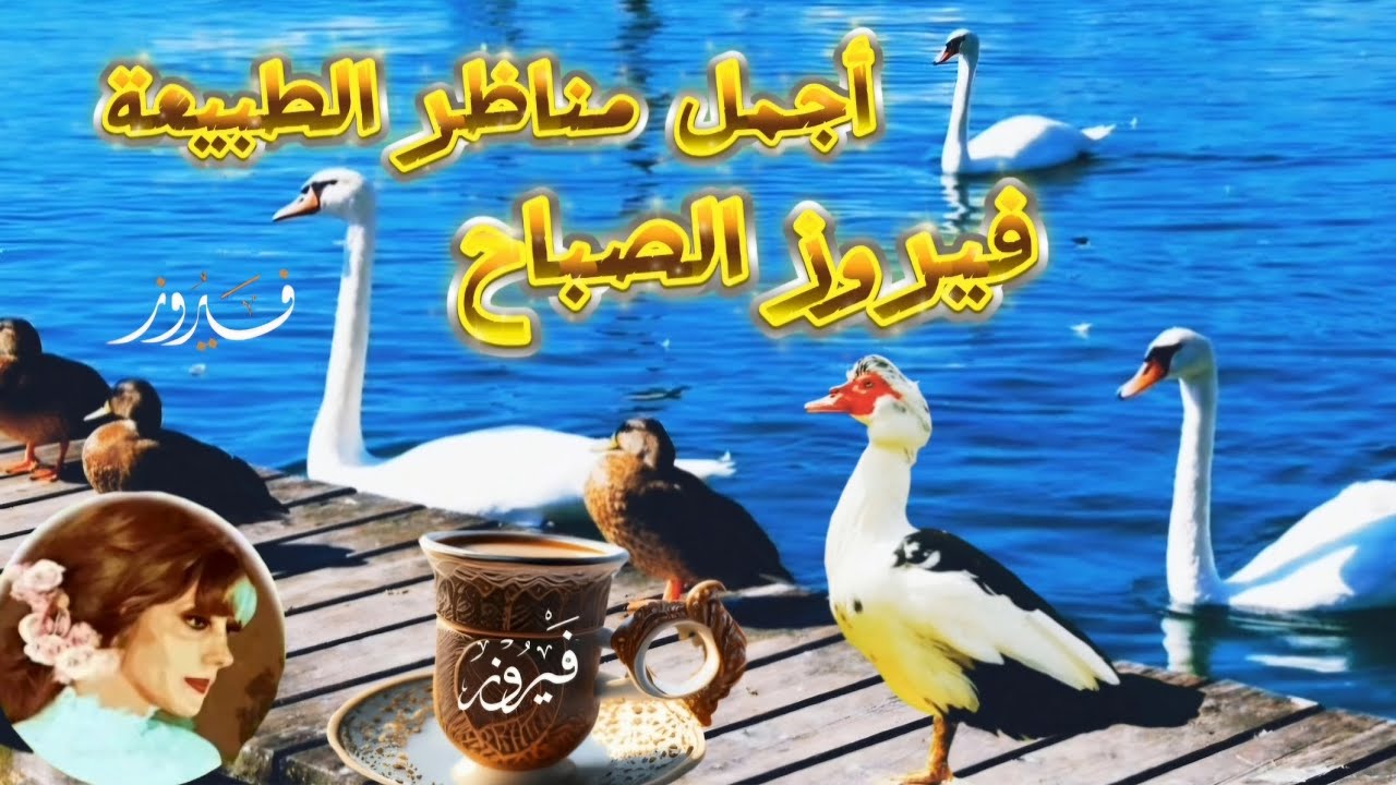 فيروز الصباح ❤️🎶🎼 فيروزيات ورق الاصفر شهر ايلول