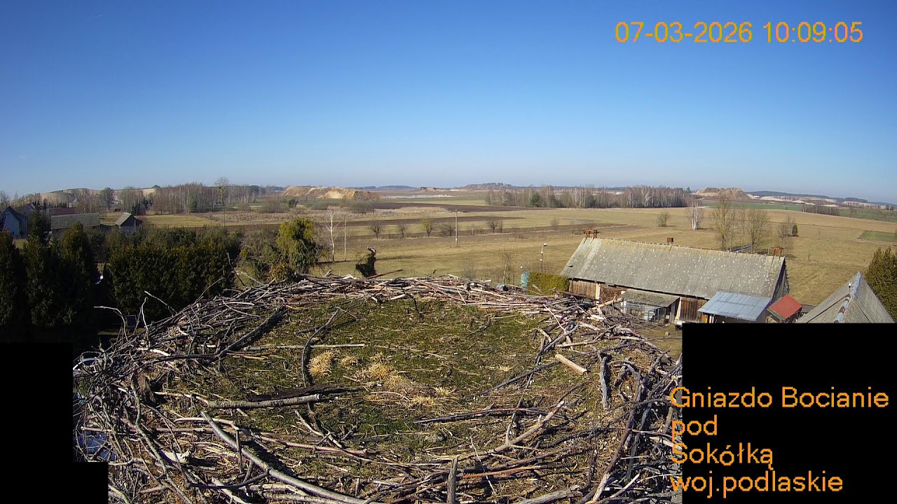 Gniazdo Bocianie pod Sokółką - 06 - 07.03.2026.