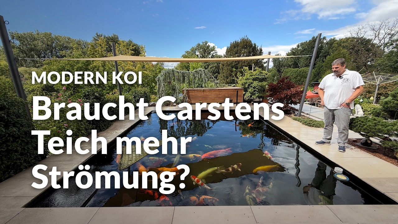 Carstens 40.000l Koiteich | Modern Koi Blog #8371