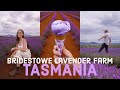 WE TRIED LAVENDER ICE CREAM (Bridestowe Travel Vlog)