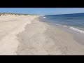 Crabs on obx beach