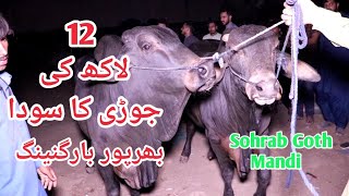 Pehla Soda | Part-1 Sohrab Goth Mandi | Full Bargainings | 28-05-2022 | Out Vines