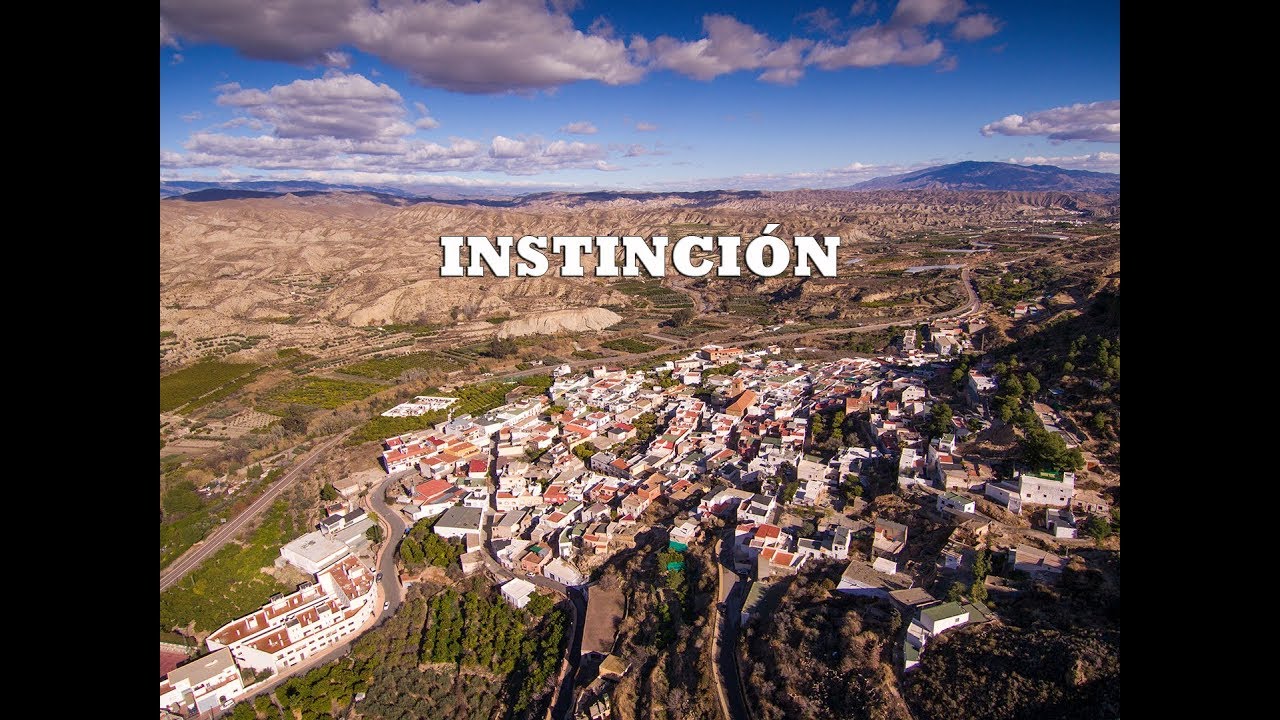 Instinción