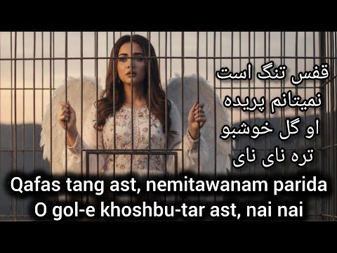 آهنگ عاشقانه غمگین قفس تنگ است Qafas Tang Ast Nemitawanam ParidaO Gol E Khoshbu Tar Ast Nai Nai 