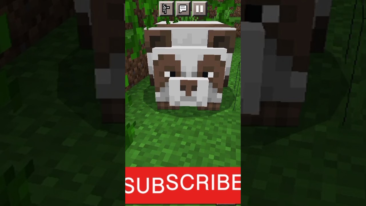 Minecraft's Most Rare Animal 😘 