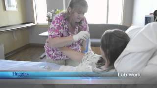 Huggins Hospital Patient Orientation Video