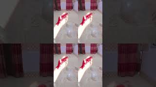 hand dance #lovedance #unfrezzmyaccount #handdance #shortvideo