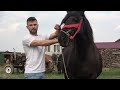 Caii lui Florin de la Osorhei, Bihor - 2024 Nou!!!