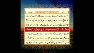 Surah Ar-Rum | Quran Translation | Islamic Whatsapp Status | Quran | AlQuran | قران