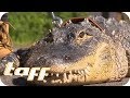 Ein ALLIGATOR als HAUSTIER? | taff | ProSieben