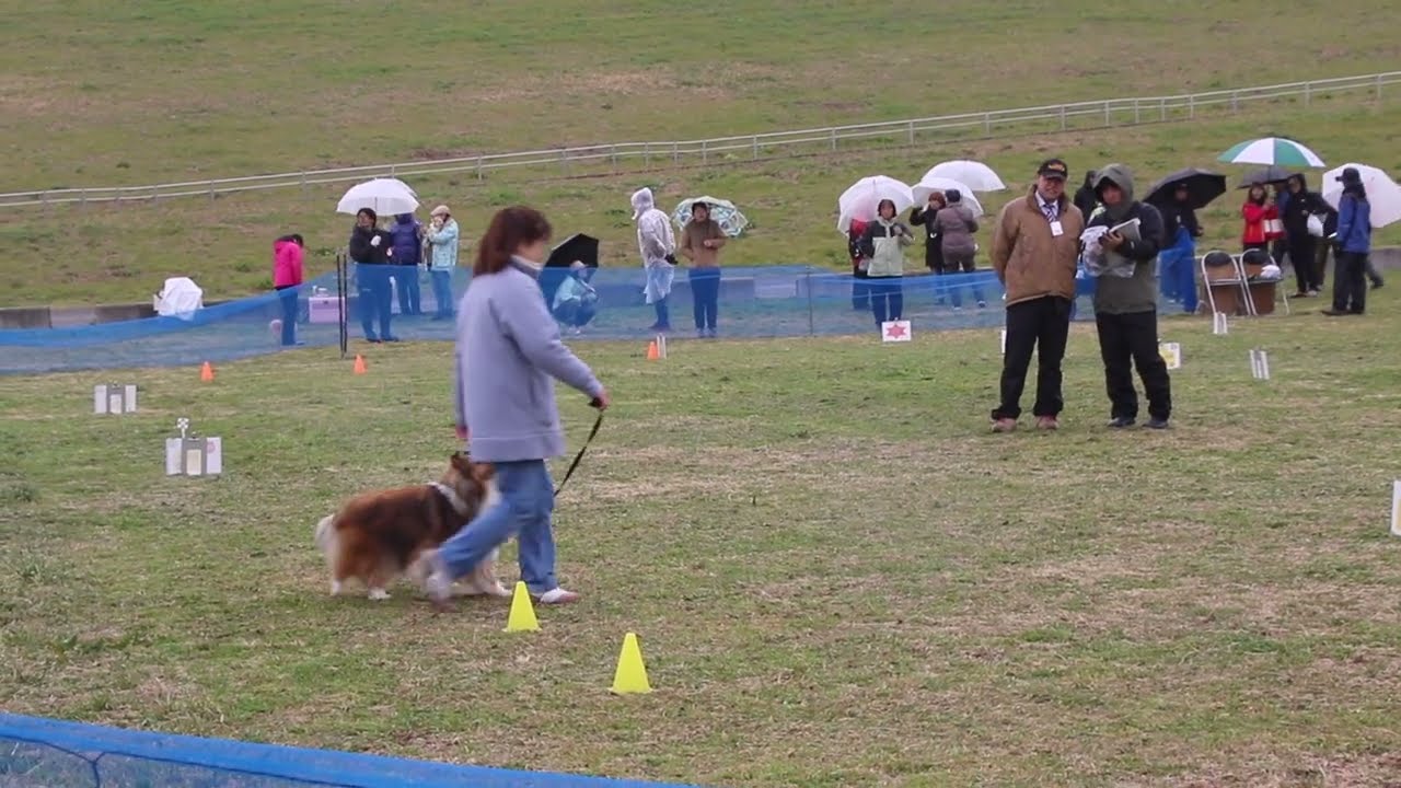 maxresdefault.jpg?sqp=-