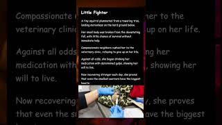 Squirrel Safe After A Great Fall