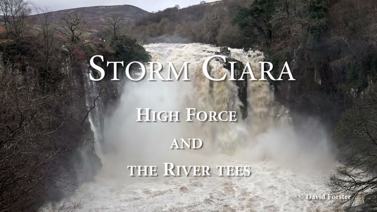 Storm Ciara and the River Tees between the Waterfalls of  Low Force and High Force. Teesdale, UK