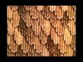 Música indígena AMÉRICA DEL SUR (CRISOL DE RAZAS) .wmv