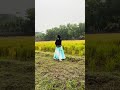 একবার যেতে দে না আমার ছোট্ট সোনার গাঁয়.... গান