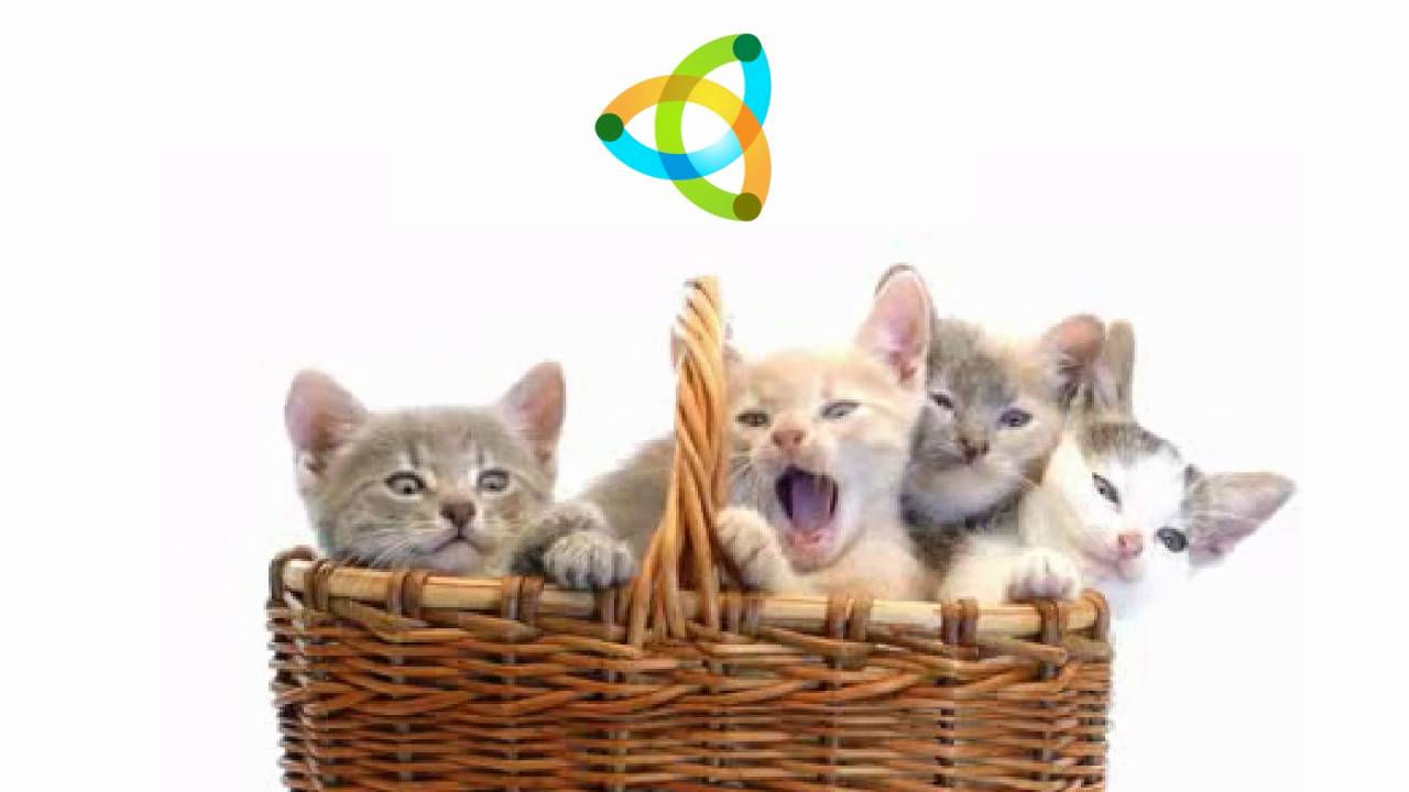 ModernHR - Why Live Without Us