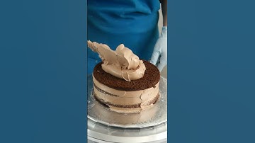 Chocolate Cake Crumb Coating #shorts