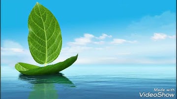 #Motivational Speech. Your actions are the reflections of your life.(Motivational video)