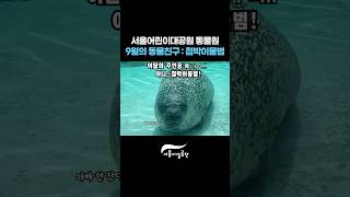 9월(September)의 동물친구 : 점박이물범(Spotted seal) #서울어린이대공원썸네일