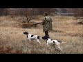 Keklik Avı Partridge hunting - english pointer の動画、YouTube動画。