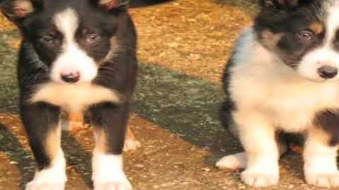 Last Lecture Dr. Hector Vazquez