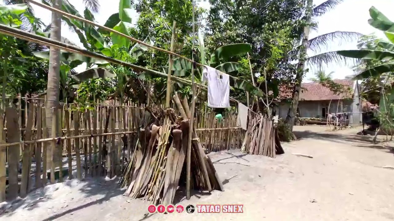 Suasana Desa Sokoharjo Kutoarjo Purworejo Jawa Tengah.
