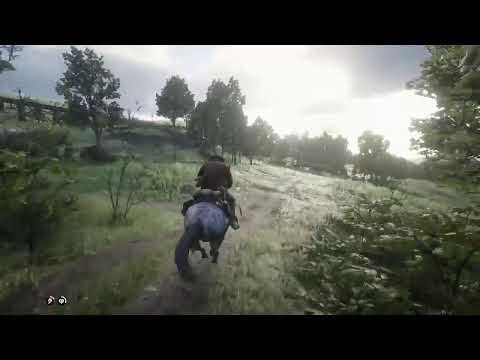 Red Dead Redemption 2 | First Person | Minimal HUD | Live stream 2020-04-28