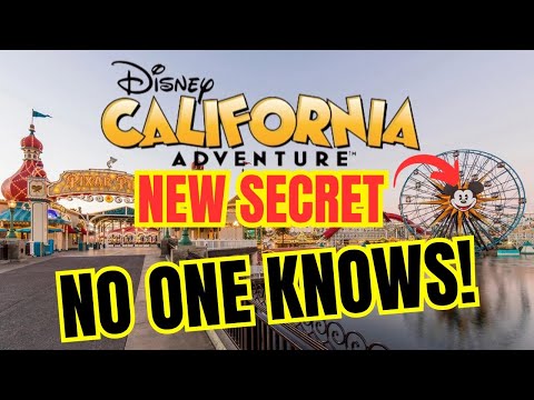Video: Disney California Adventure: Visas vadovas