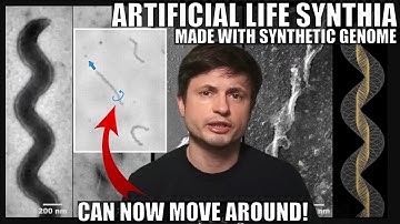 Artificial Cell With Synthetic Genome Can Now Move Around, Synthia Evolved