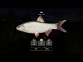 Russian Fishing 4 Active spot on Mosquito to help w lower level players