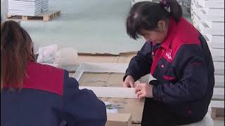 Wuhu Aihua Industrial Manufacturing Co., Ltd