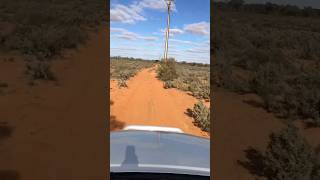 🚙 Searching for Kangaroos in the Australian Outback! | 4WD Adventure with Mates#fypviral #offroad #