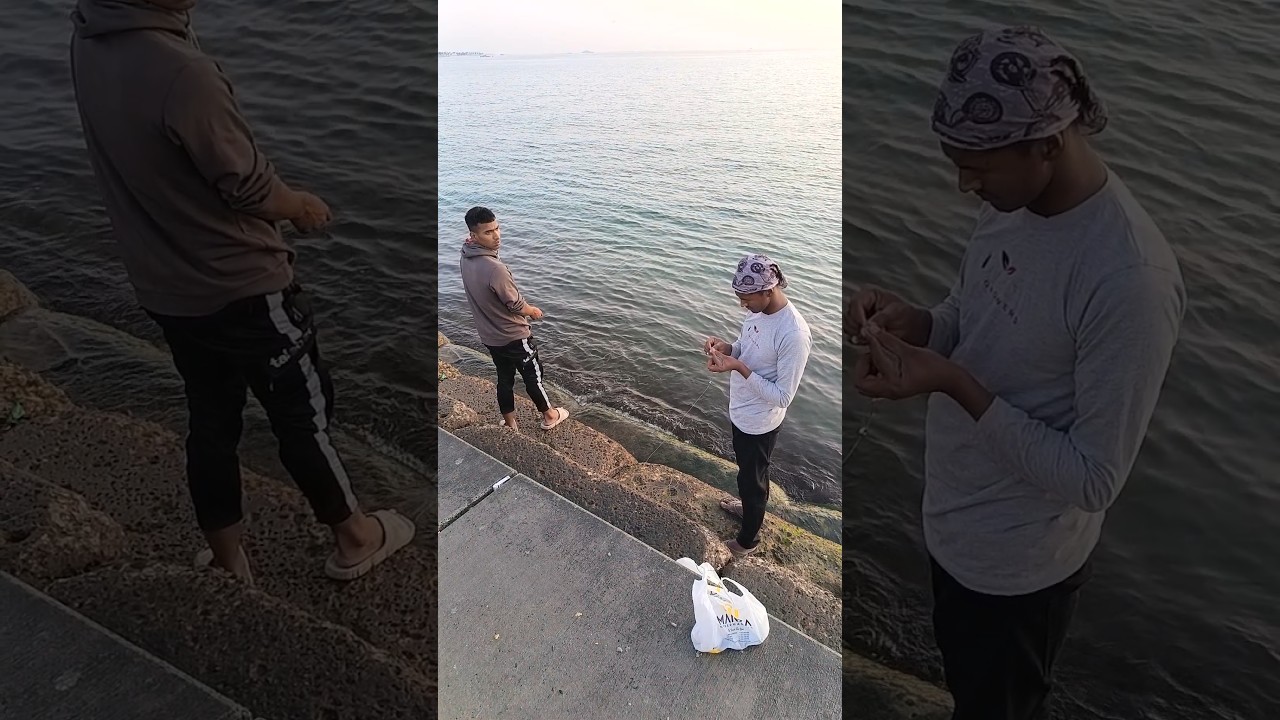 #fishingtry #fishing #fish #fishingvideo #youtubeshorts