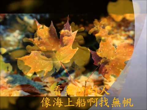 power翻唱花香(情緒版)原唱 江蕙
