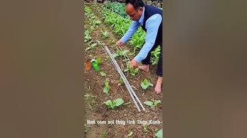 Nông nghiệp công nghệ cao, Tự động hóa trong sản xuất nông nghiệp