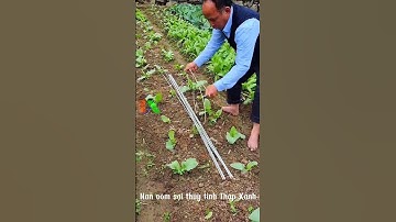 Nông nghiệp công nghệ cao, Tự động hóa trong sản xuất nông nghiệp