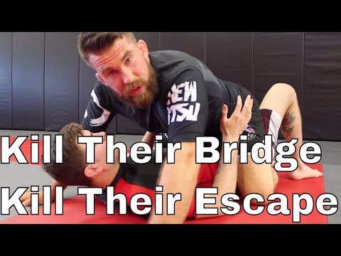 2 Useful Tips that Connect and Strengthen Your Mount Position