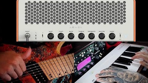 ARCHETYPE ABASI | Neural DSP | THUMP SHRED JAM