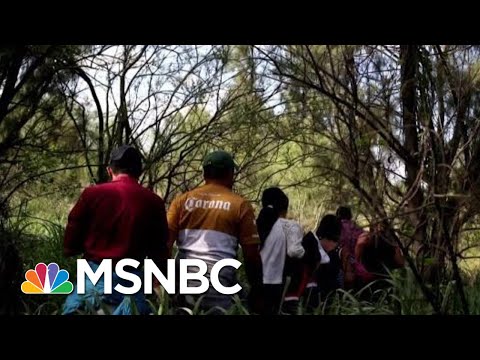 Must Watch: Chris Hayes On 'Despicable' New Donald President Trump Policy | All In | MSNBC