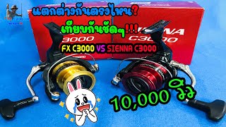 Shimano FX-C3000 VS SIENNA C3000 แตกต่างกันตรงไหน? by The Fishing Line(ผู้ชายสายงัด)EP.รีวิว9