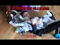 Attack Of The Killer Dogs - Official Trailer